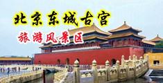 高潮欧美国产中国北京-东城古宫旅游风景区
